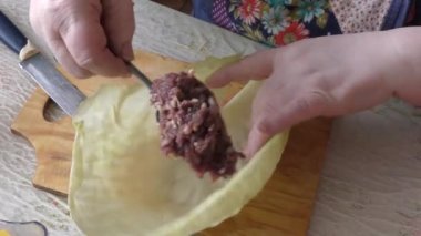 Aşçı lahana ruloları hazırlar. sağlıklı gıda konsepti 