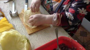 Aşçı lahana ruloları hazırlar. sağlıklı gıda konsepti 