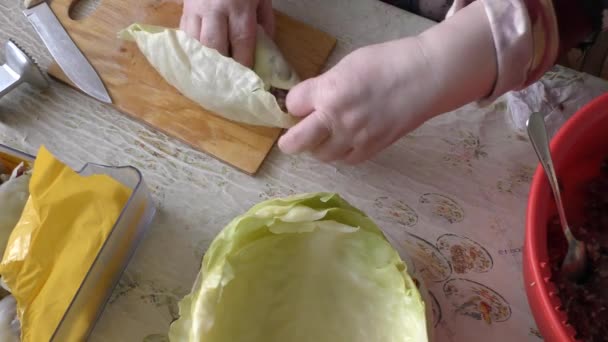 厨师准备卷心菜卷 健康食品概念 — 图库视频影像