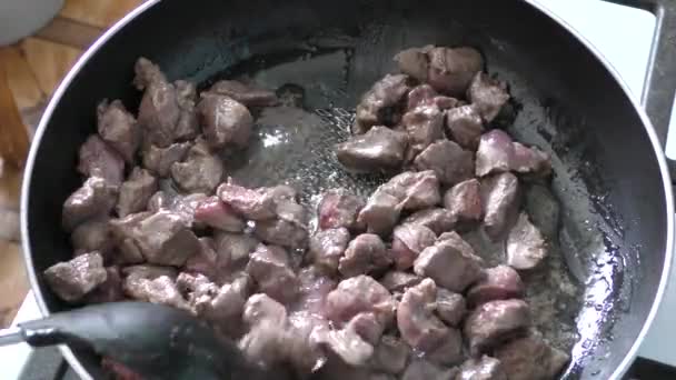 Hirschfleisch Kochen Gesundes Ernährungskonzept — Stockvideo