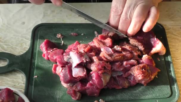 Hirschfleisch Kochen Gesundes Ernährungskonzept — Stockvideo