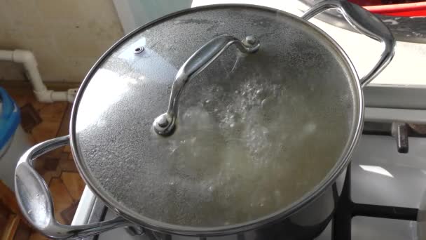 Suppe Wird Einem Topf Auf Dem Herd Gekocht Gesundes Ernährungskonzept — Stockvideo