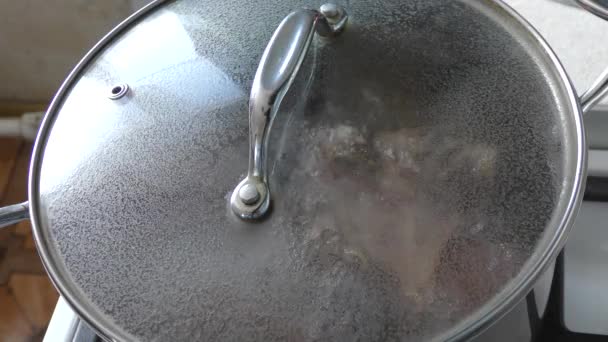 Sopa Está Cocinando Una Cacerola Estufa Concepto Alimentos Saludables — Vídeo de stock