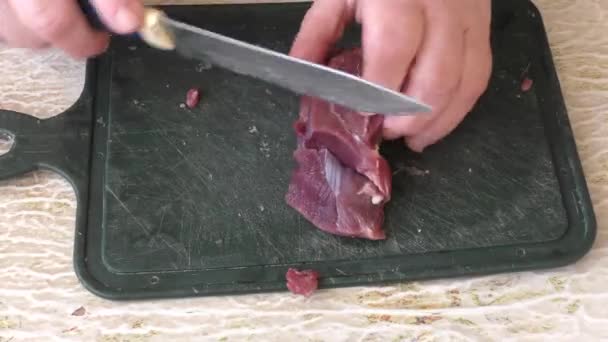 厨师用刀割鹿肉 健康食品概念 — 图库视频影像