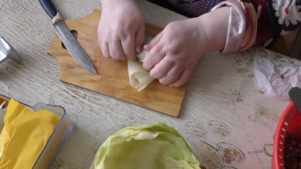 Donna Cuoco Prepara Involtini Cavolo Con Carne Concetto Cibo Sano — Video Stock