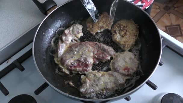 Konzept Für Gesunde Ernährung Hirschfleisch Wird Der Pfanne Gebraten — Stockvideo