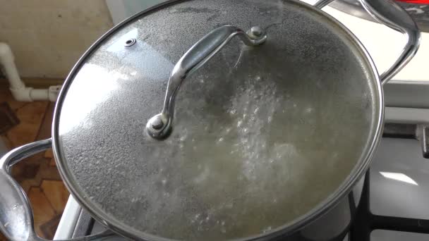 Sopa Está Cocinando Una Cacerola Estufa Concepto Alimentos Saludables — Vídeo de stock