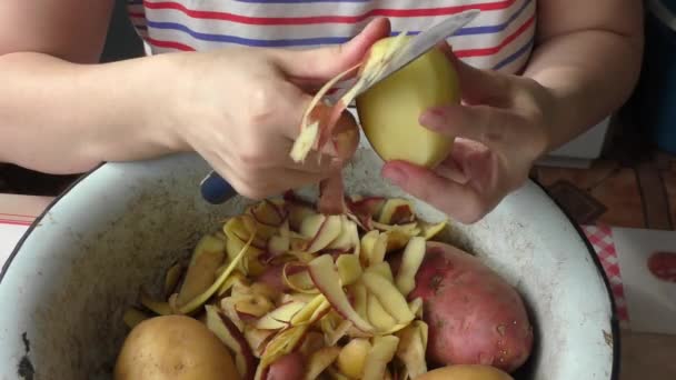 Cocinero Está Pelando Patatas Concepto Comida Saludable — Vídeo de stock