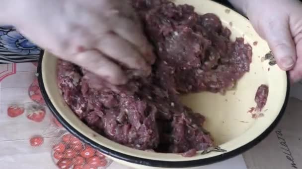 Der Koch Mischt Das Rentierhackfleisch Gesundes Ernährungskonzept — Stockvideo