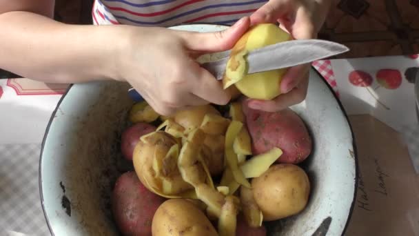 料理人がジャガイモを皮を剥ぐ 健康食品の概念です — ストック動画