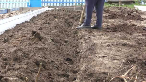 シャベルで庭を掘る女性は — ストック動画