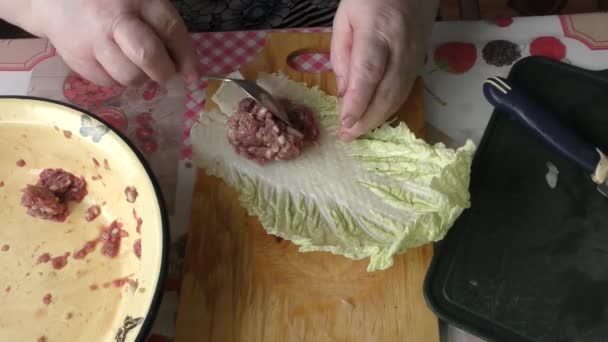 Hausmannskost Der Koch Bereitet Gefüllte Kohlrouladen Aus Hirschfleisch Konzept Für — Stockvideo