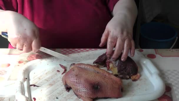 Hausmannskost Der Koch Schneidet Die Gans Stücke Konzept Für Gesunde — Stockvideo