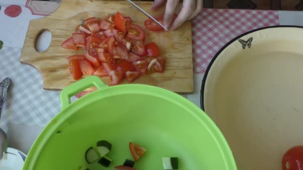 Proceso Casero Preparación Alimentos Cocinero Hace Una Ensalada Verduras Concepto — Vídeos de Stock