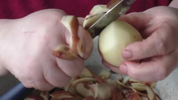 Bıçakla Patates Soyan Bir Kadın — Stok video