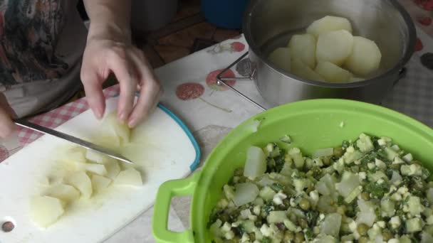 Chef Faz Uma Salada — Vídeo de Stock