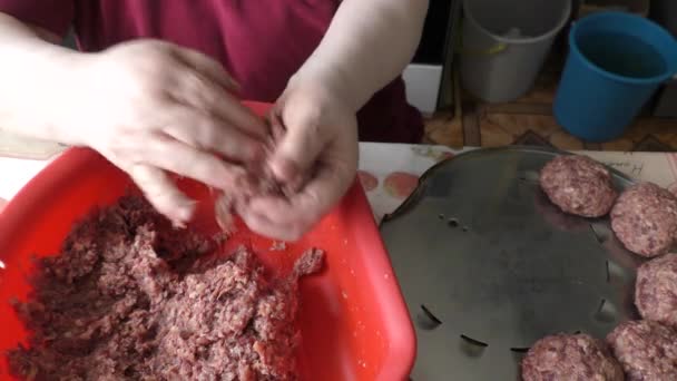 Chef Makes Cutlets Deer Meat — Stock Video