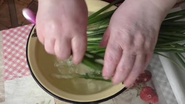 Der Koch Wäscht Die Grünen Zwiebeln — Stockvideo