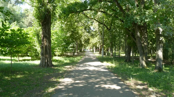 Walking Path City Park — Stock Photo, Image