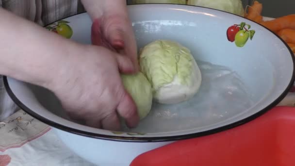 Mujer Cocinero Lava Col Blanca Agua Concepto Alimentos Saludables — Vídeos de Stock