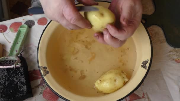 Frau Schält Rohe Kartoffeln Gesundes Ernährungskonzept — Stockvideo