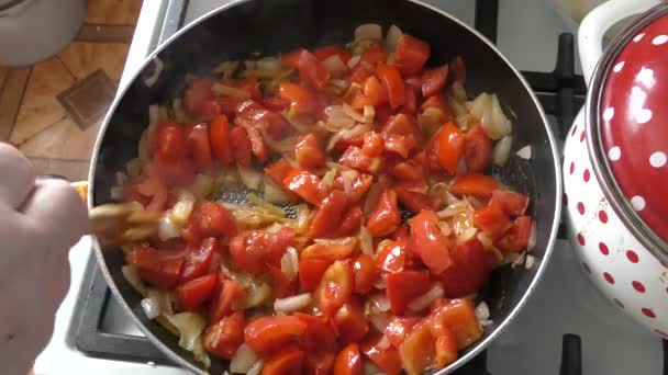 Les Tomates Avec Les Oignons Sont Frites Dans Une Poêle — Video