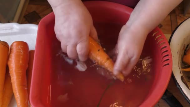 Der Koch Schält Die Karotten Gesundes Ernährungskonzept — Stockvideo