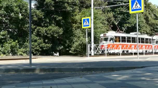 Краснодар Россия 2021 Трамвайное Движение Улицам Города — стоковое видео