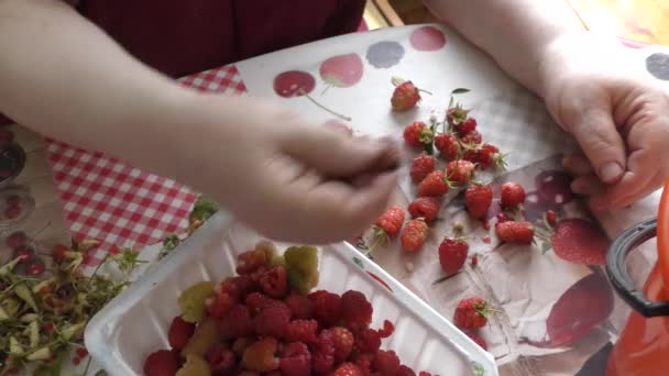 女性は果実を汚れからきれいにする 健康的な食のコンセプト — ストック動画