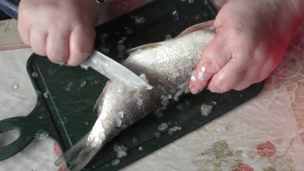 Kuchař Čistí Ryby Zdravá Výživa — Stock video