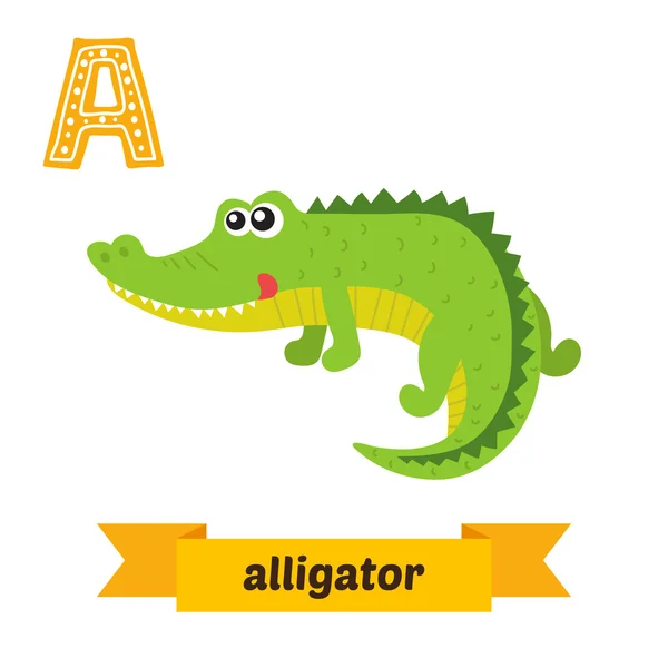 Alligator. Sebuah surat. Anak-anak lucu alfabet hewan di vektor. Fu - Stok Vektor