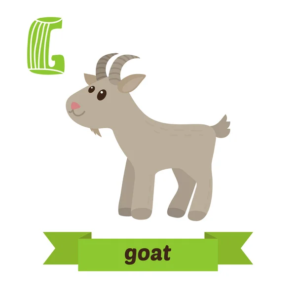 Goat. G letter. Cute children animal alphabet in vector. Funny c — ストックベクタ
