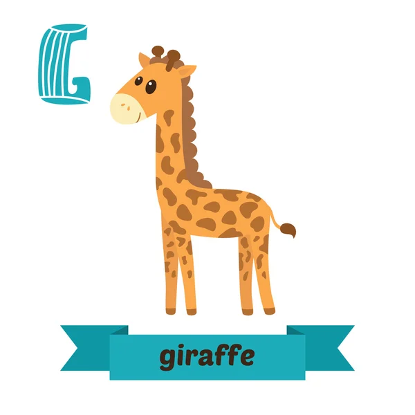 Giraffe. G letter. Cute children animal alphabet in vector. Funn — 스톡 벡터