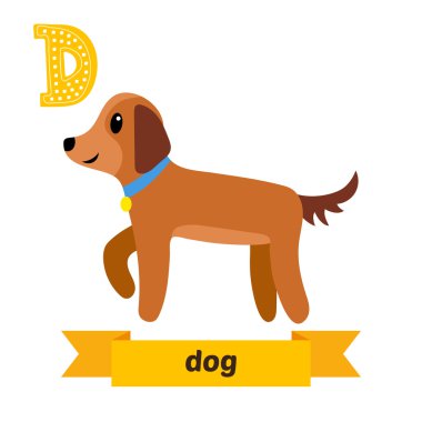 Köpek. D harfi. Vektör sevimli çocuklar hayvan alfabesi. Komik ca