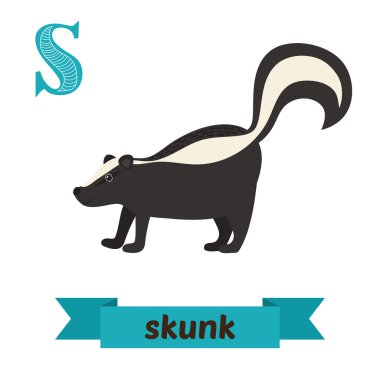 Skunk. S harfi. Vektör sevimli çocuklar hayvan alfabesi. Komik 