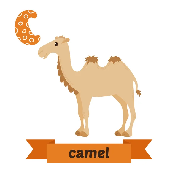 Camel. Scrisoare C. Copii drăguți alfabet de animale în vector. Amuzant — Vector de stoc