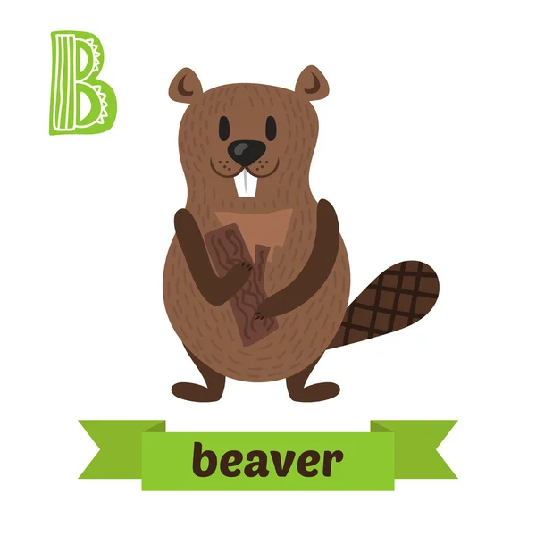 Beaver. Letter B. Schattige kinderen dierlijke alfabet in vector. Grappig — Stockvector