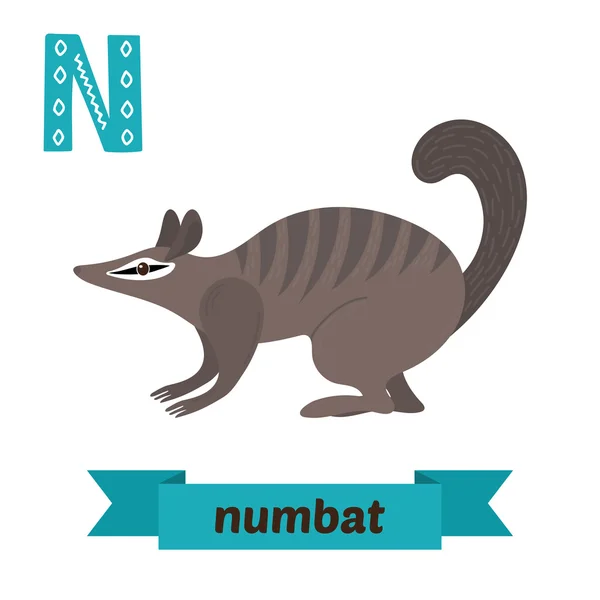 Numbat.N 个字母。可爱的儿童动物字母在矢量。有趣 — 图库矢量图片