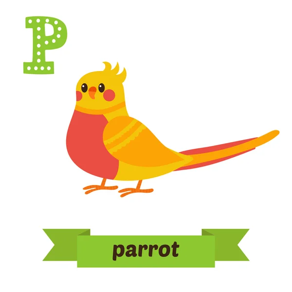 Parrot. P letter. Cute children animal alphabet in vector. Funny — Stock Vector