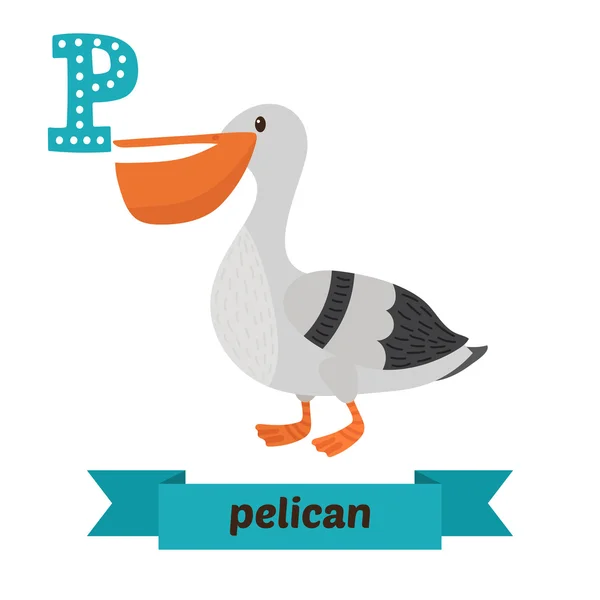 Pelican. P letter. Schattige kinderen dierlijke alfabet in vector. Funn — Stockvector