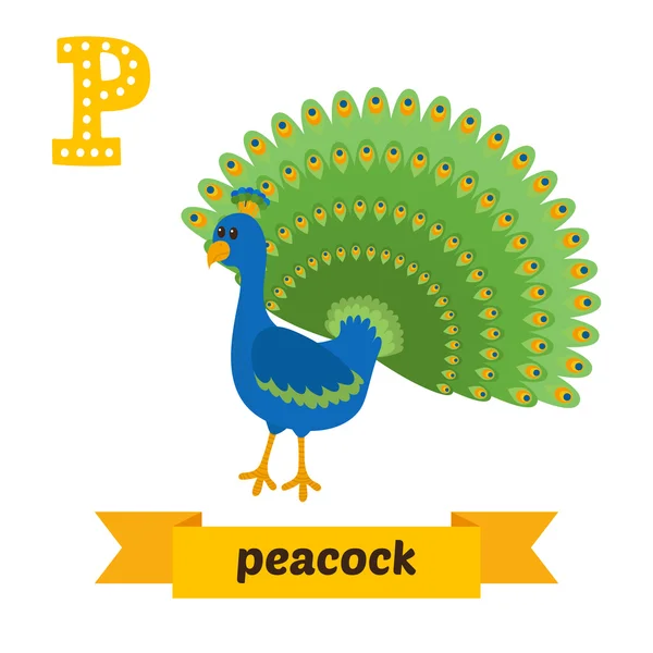 Peacock. P letter. Cute children animal alphabet in vector. Funn — Stock Vector