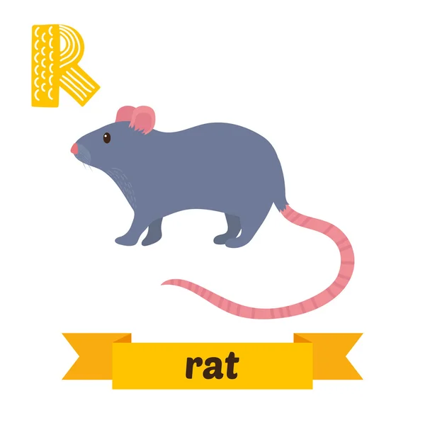 Rata. Carta R. Lindos niños alfabeto animal en vector. Divertido ca — Archivo Imágenes Vectoriales