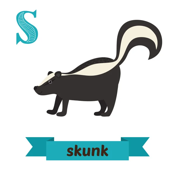 Skunk. S letter. Schattige kinderen dierlijke alfabet in vector. Grappig — Stockvector