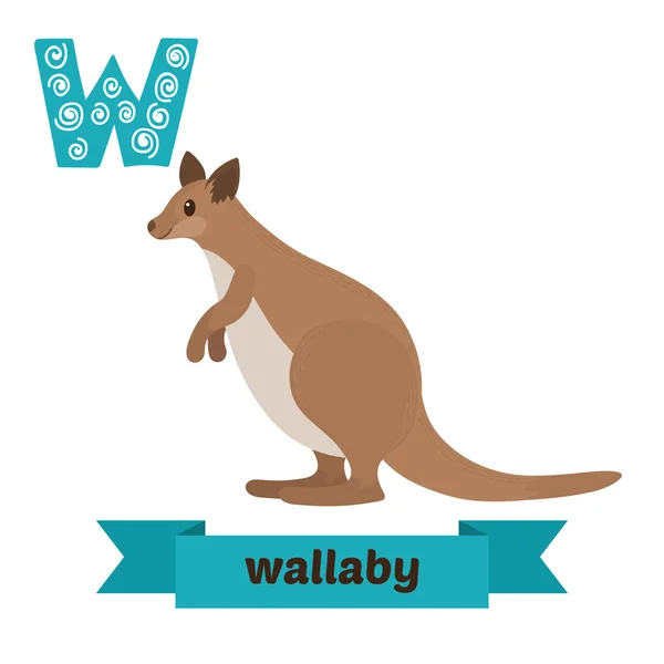 Wallaby. Lettre W. Enfants mignons alphabet animal dans le vecteur. Funn ! — Image vectorielle
