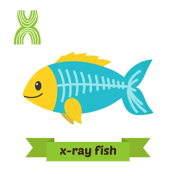 Ikan X-ray. Huruf X. Anak-anak lucu alfabet hewan di vektor. F - Stok Vektor