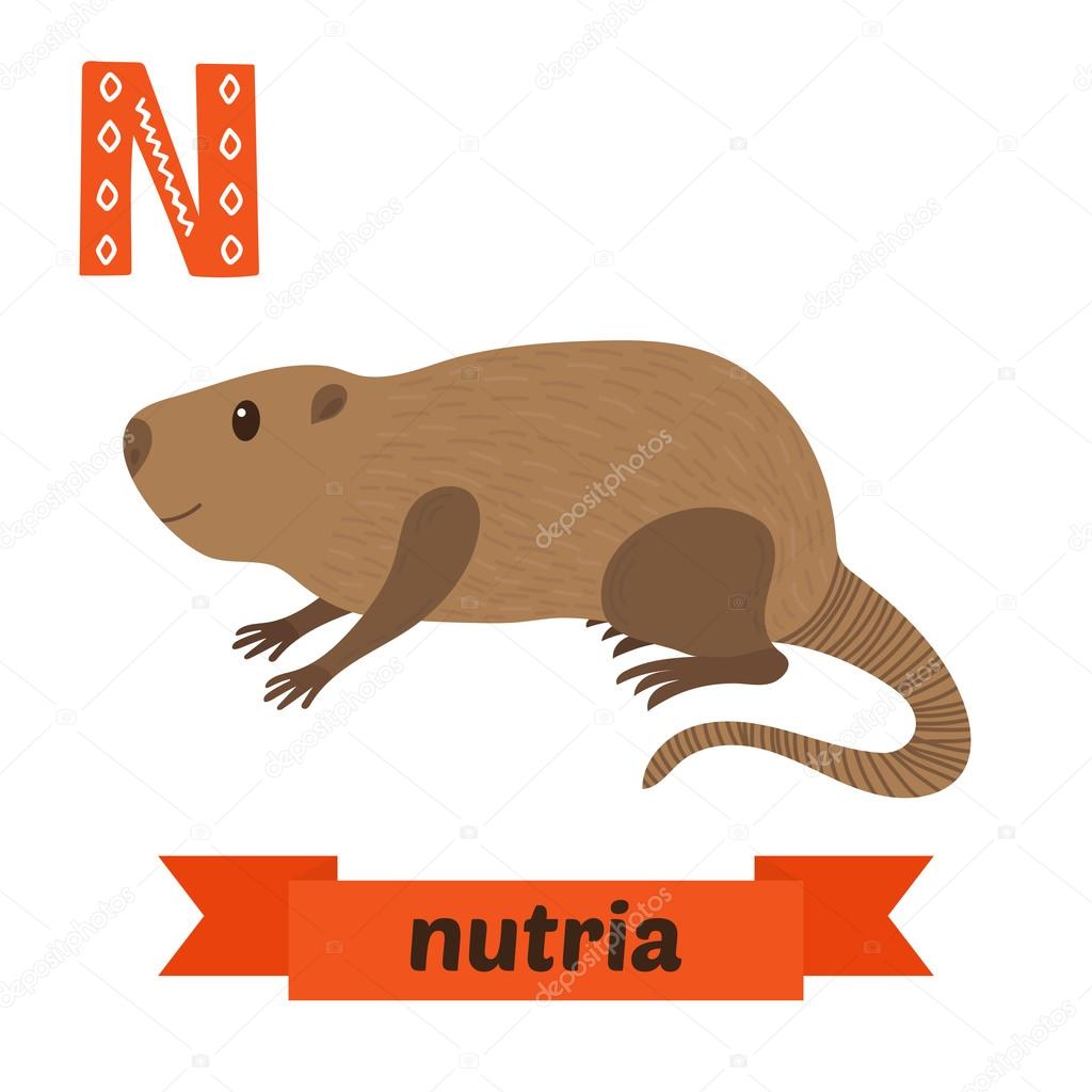 nutria