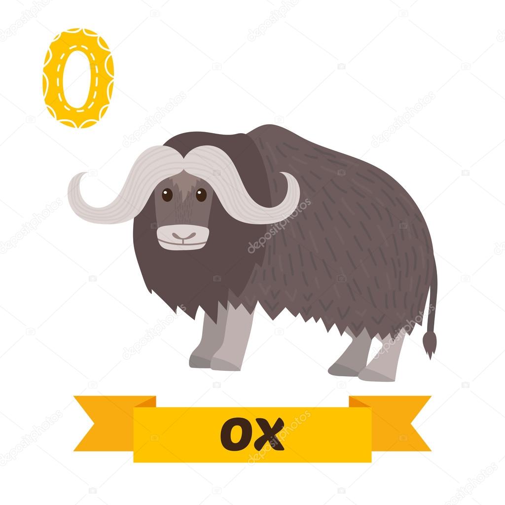 Brown Ox · Free Stock Photo