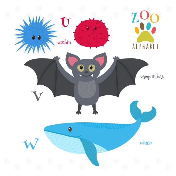 Alfabeto del zoológico con divertidos animales de dibujos animados. U, v, w letras. Urchin. — Archivo Imágenes Vectoriales
