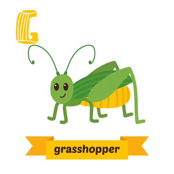 Grasshopper. G letter. Cute children animal alphabet in vector. — Stock Vector