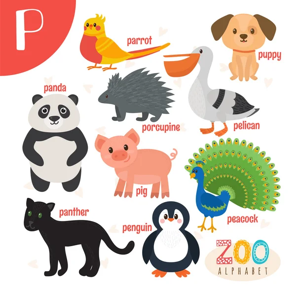 Letter P. Cute animals. Funny cartoon animals in vector. ABC boo — Stock Vector